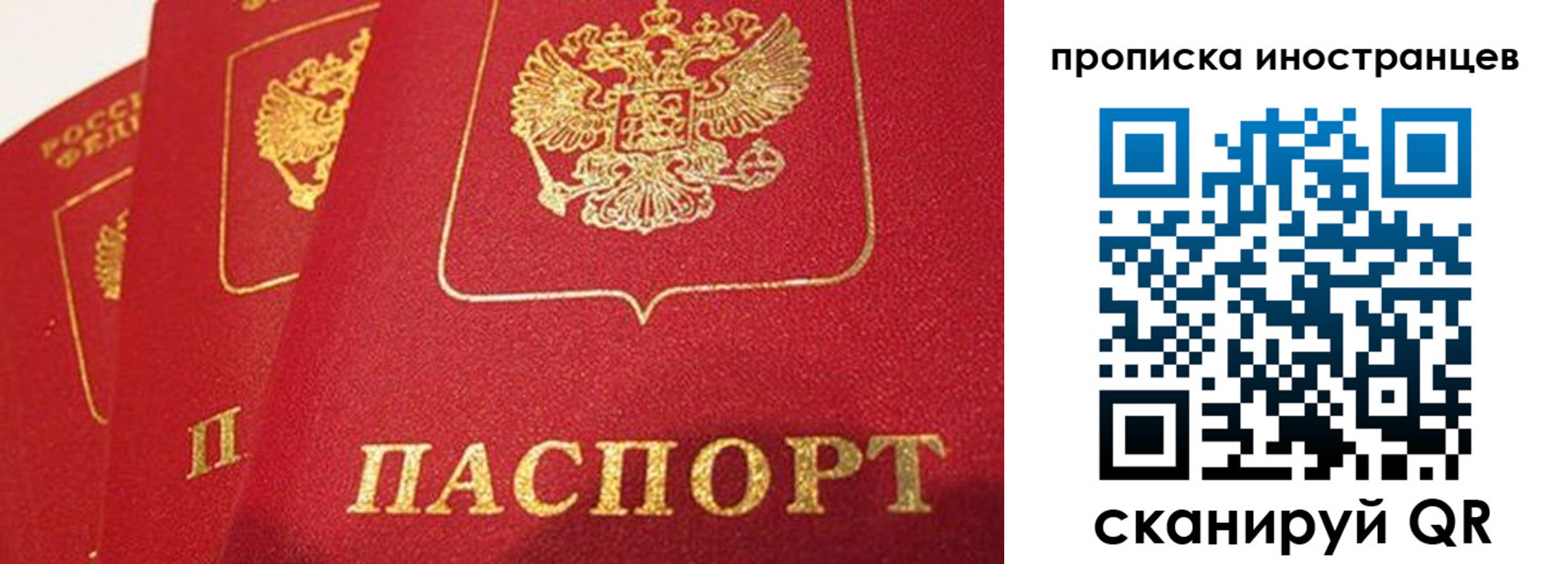 прописка поиск в Петушках